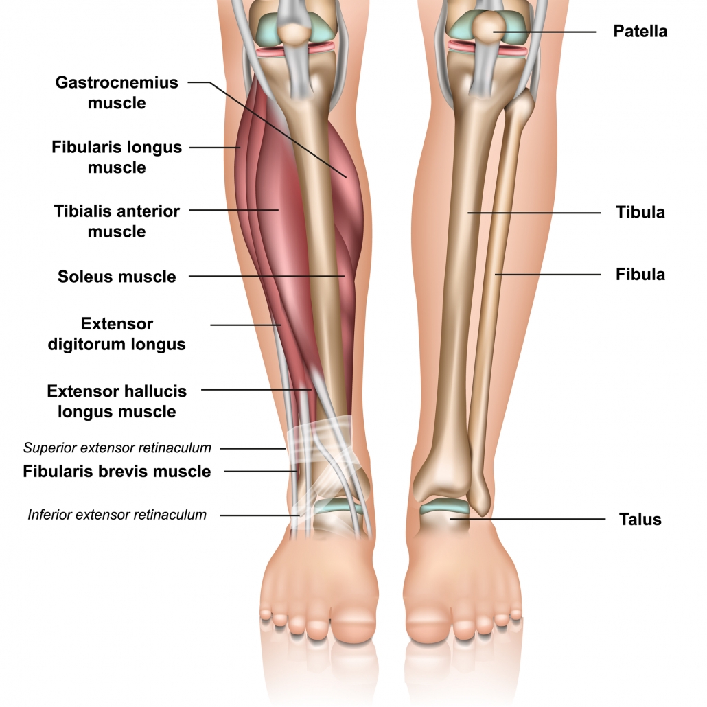 shin-pain-or-shin-splints-cause-and-correction